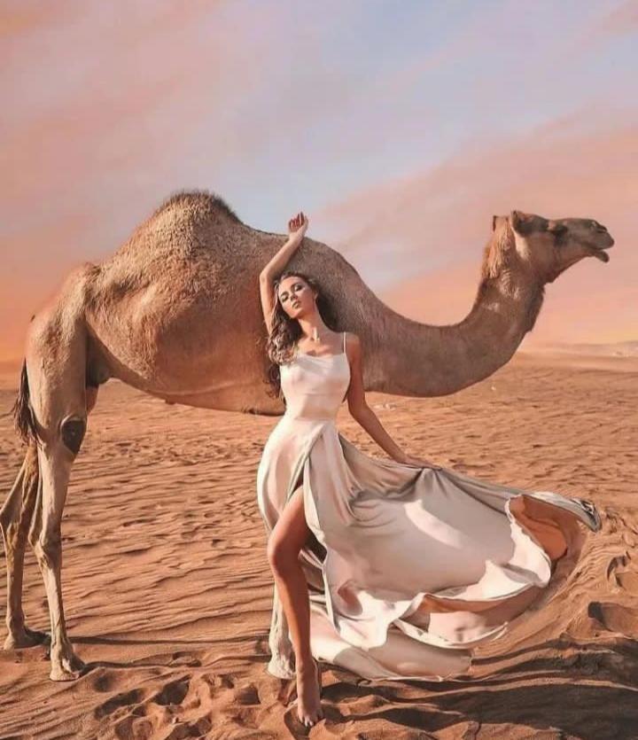 Merzouga Top Luxury Camp Eksteriør bilde